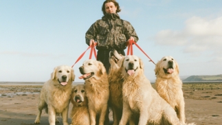 Mall Grab on a beach with Golden Retrievers